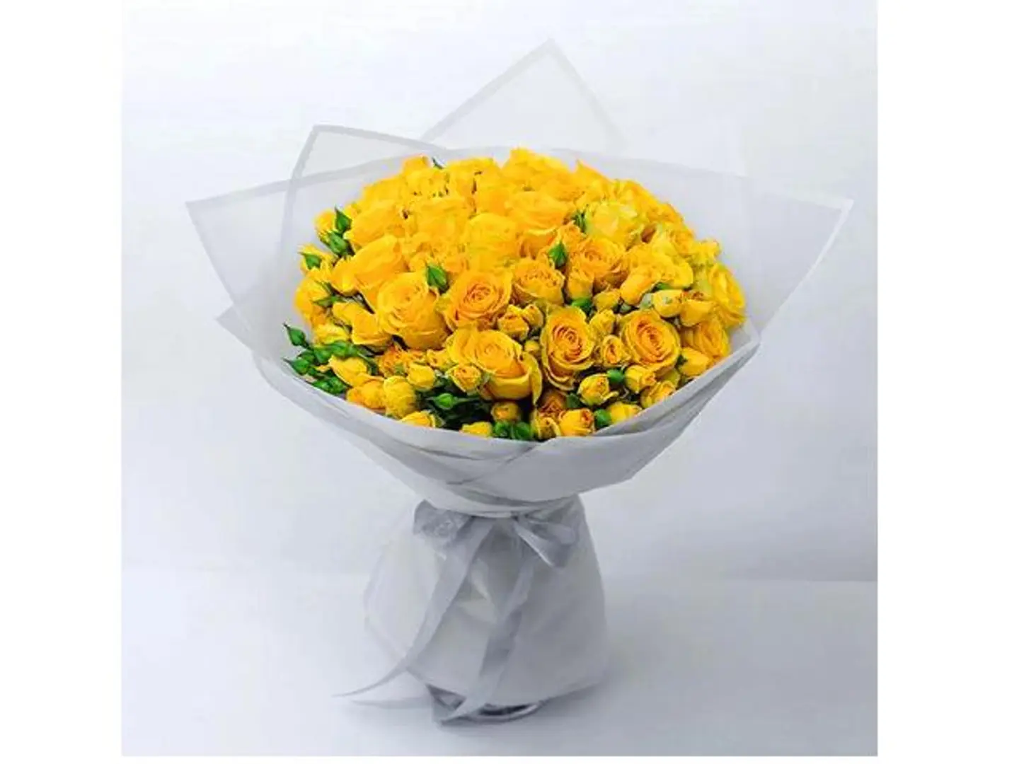 Sb Yellow Romance 22