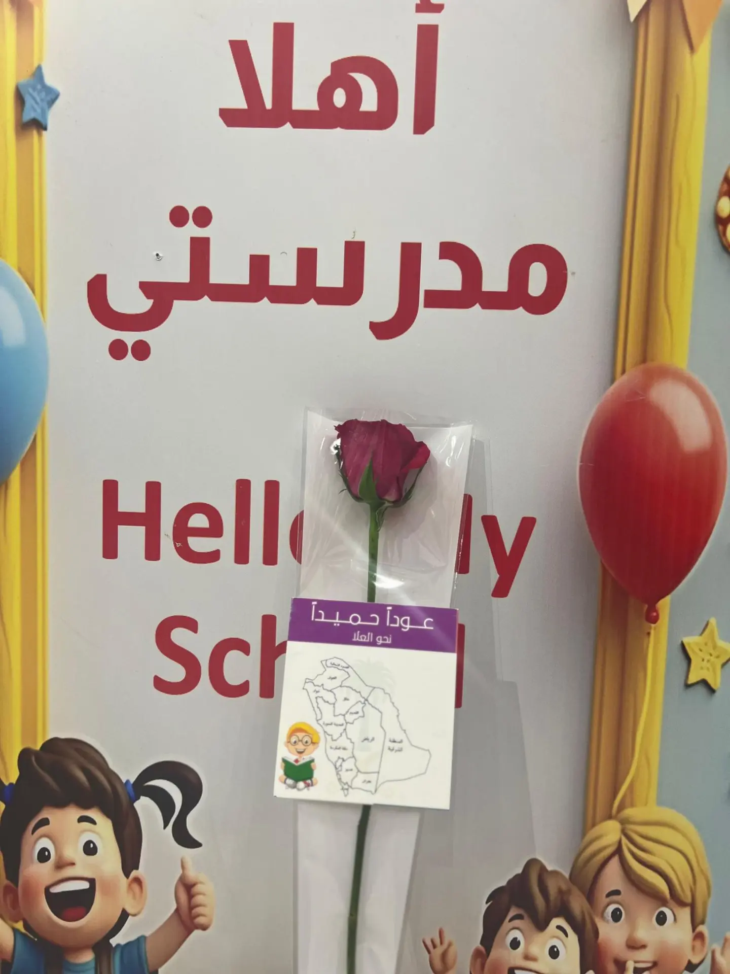 توزيعات ورد مغلف 5