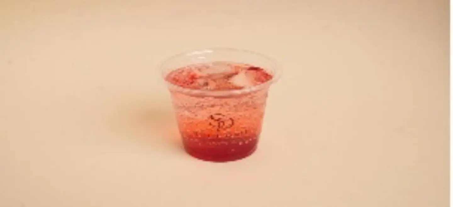 Raspberry Mojito