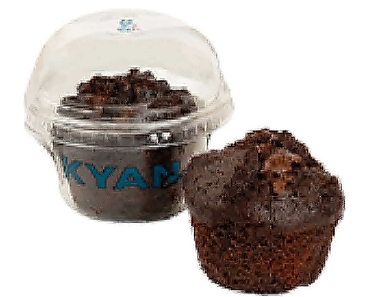 مفن شوكولاتة