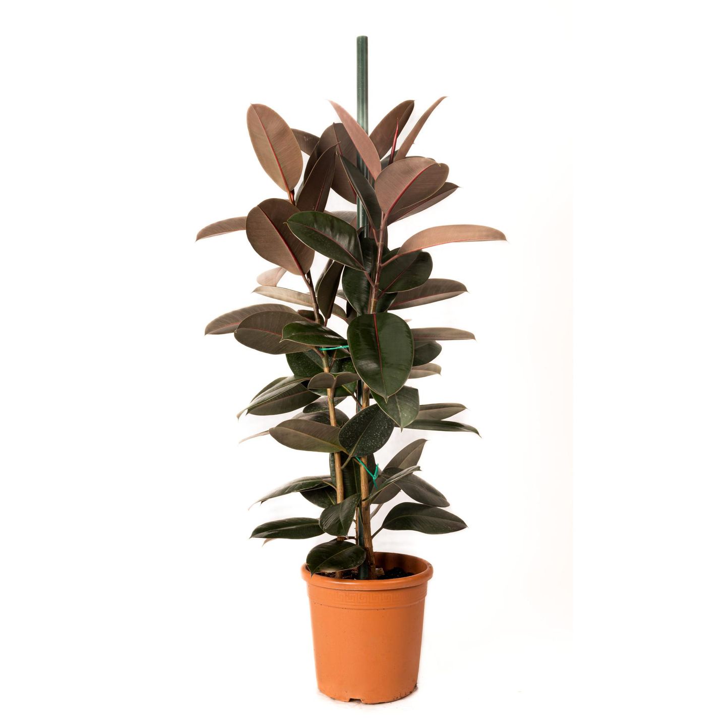 Fix Decor