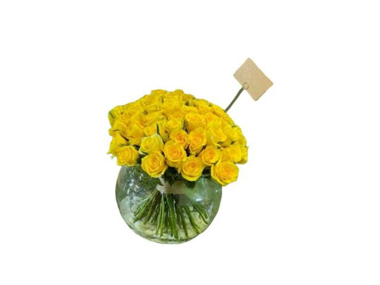 Live Vase