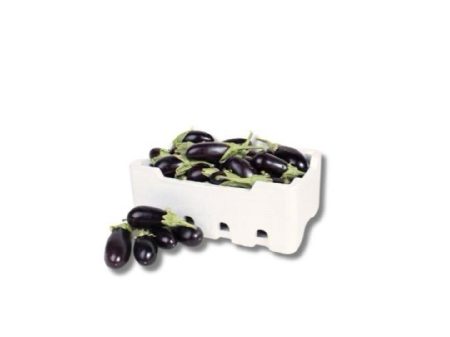 Black Eggplant Big Box
