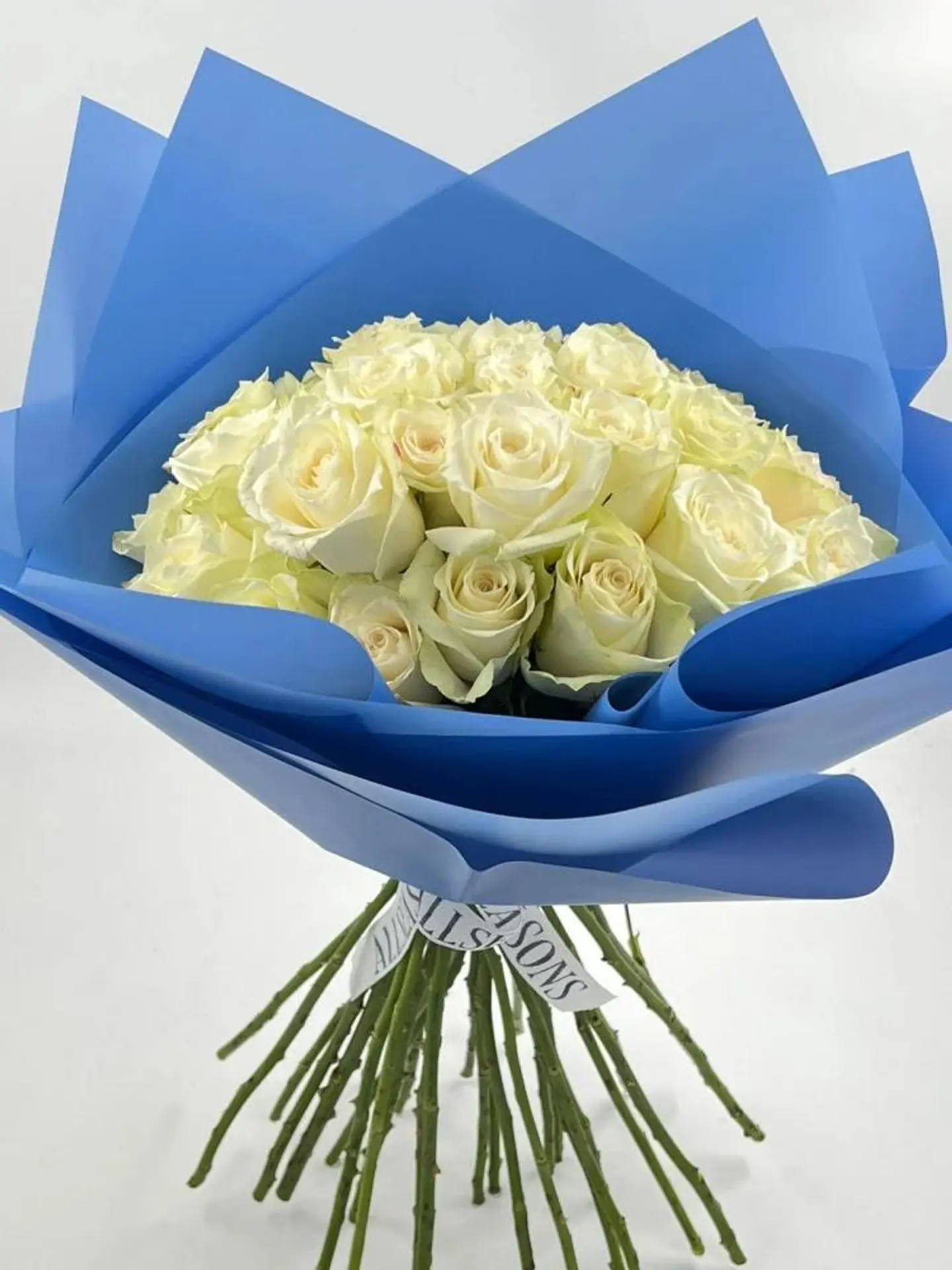 بوكي مولود صوتك لحن عذب يطرب مسامعي.