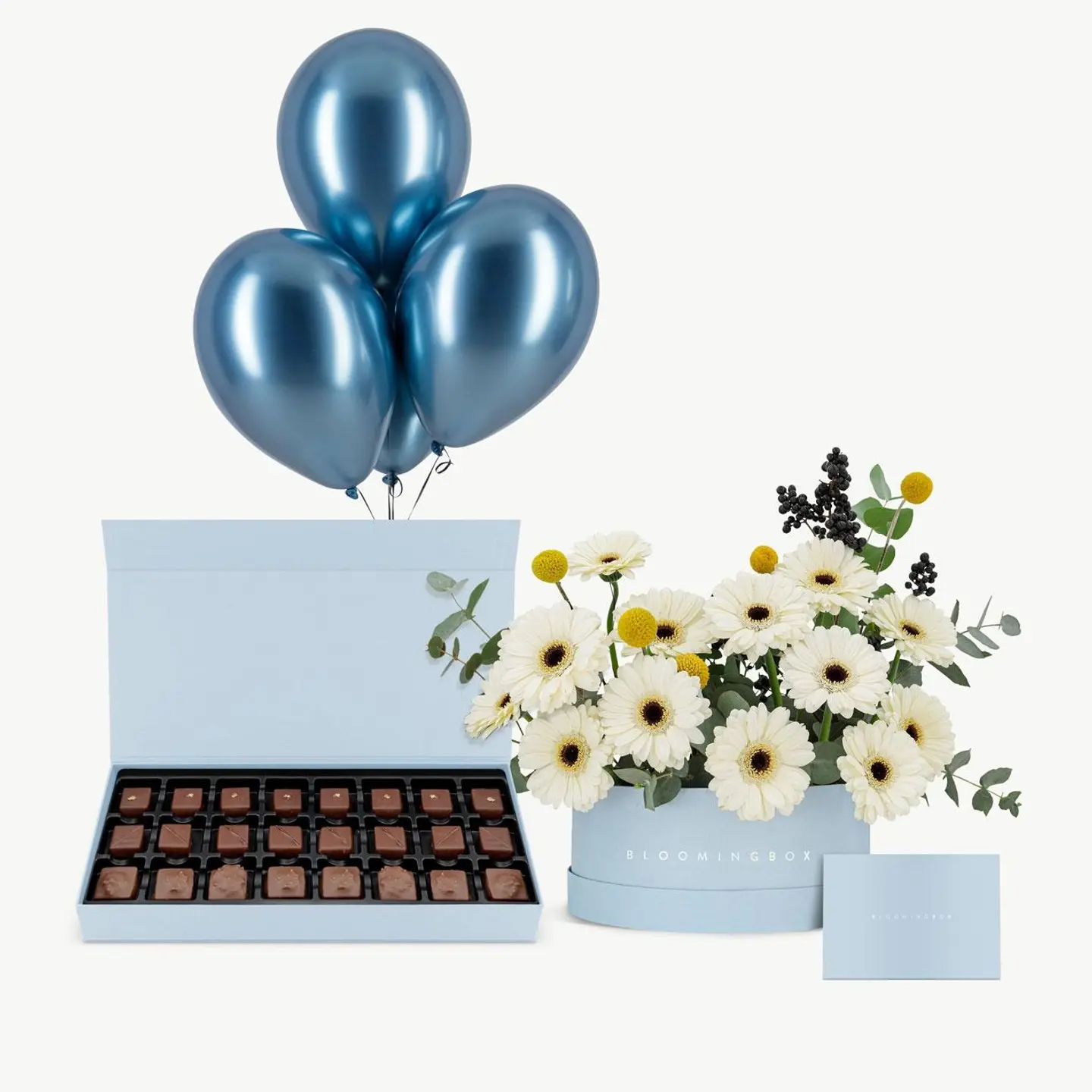 Cotton Blue Short Assortment With Treats