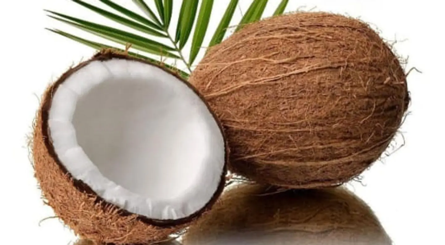 جوز الهند حبة