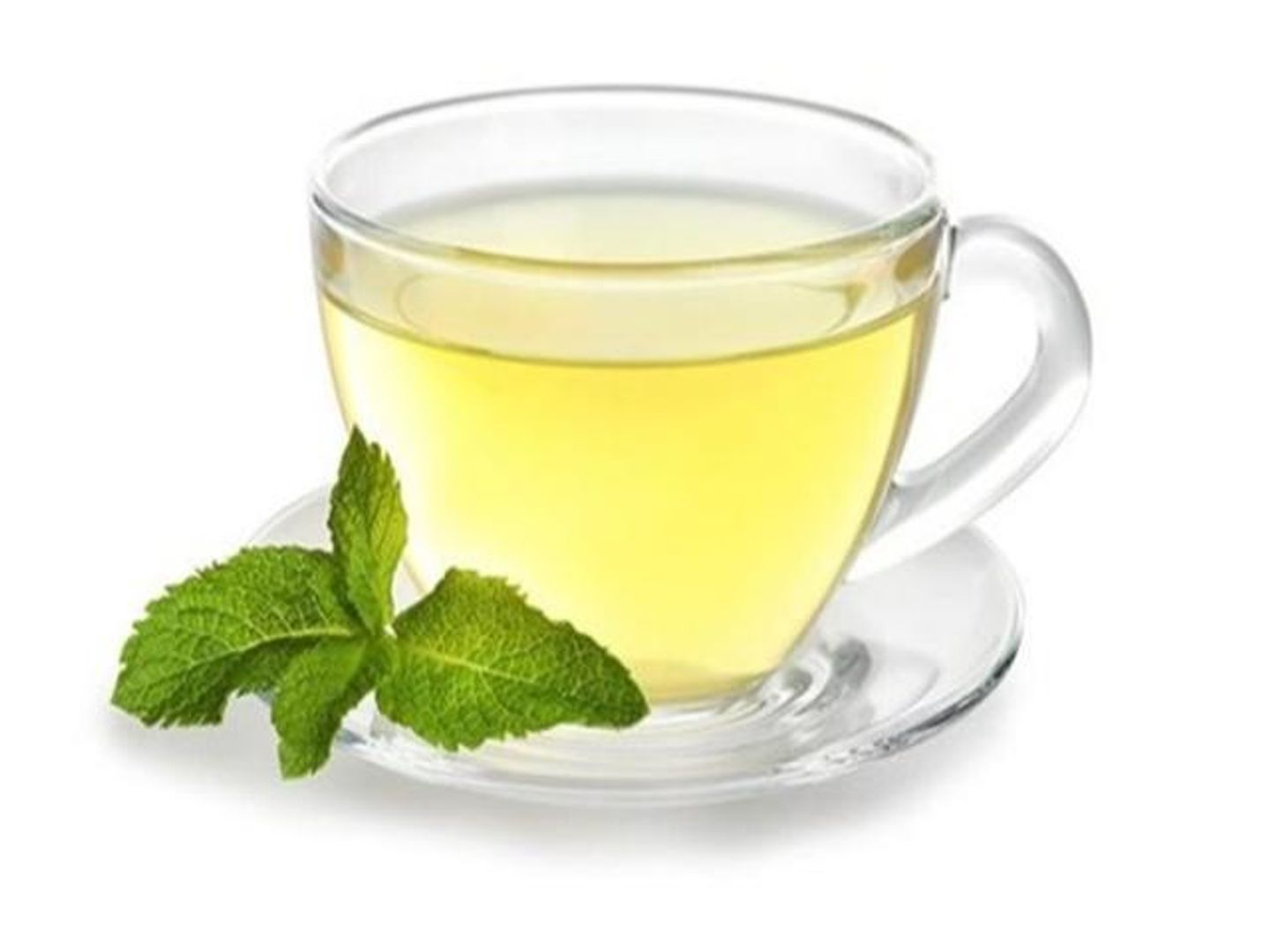 نعناع الطائف