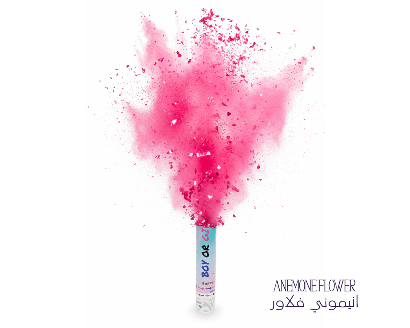 المفرقعات تحديد الجنين اللون الوردي