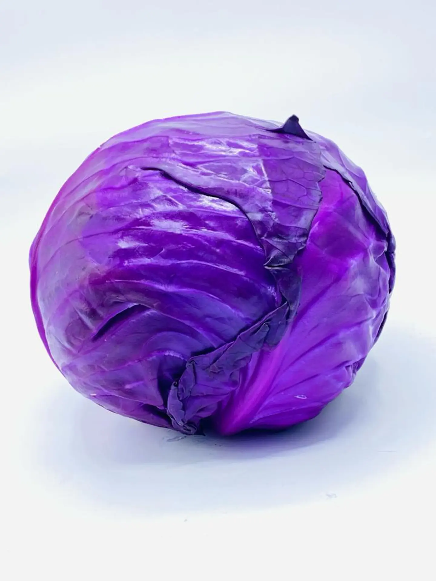 Red Cabbage 1 Grain
