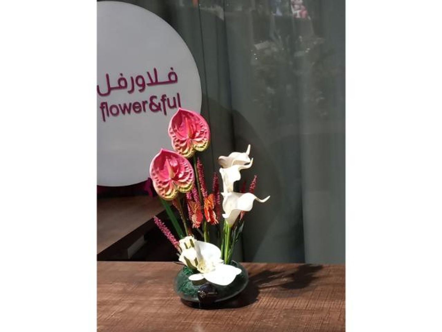 فازة نور الاحلام