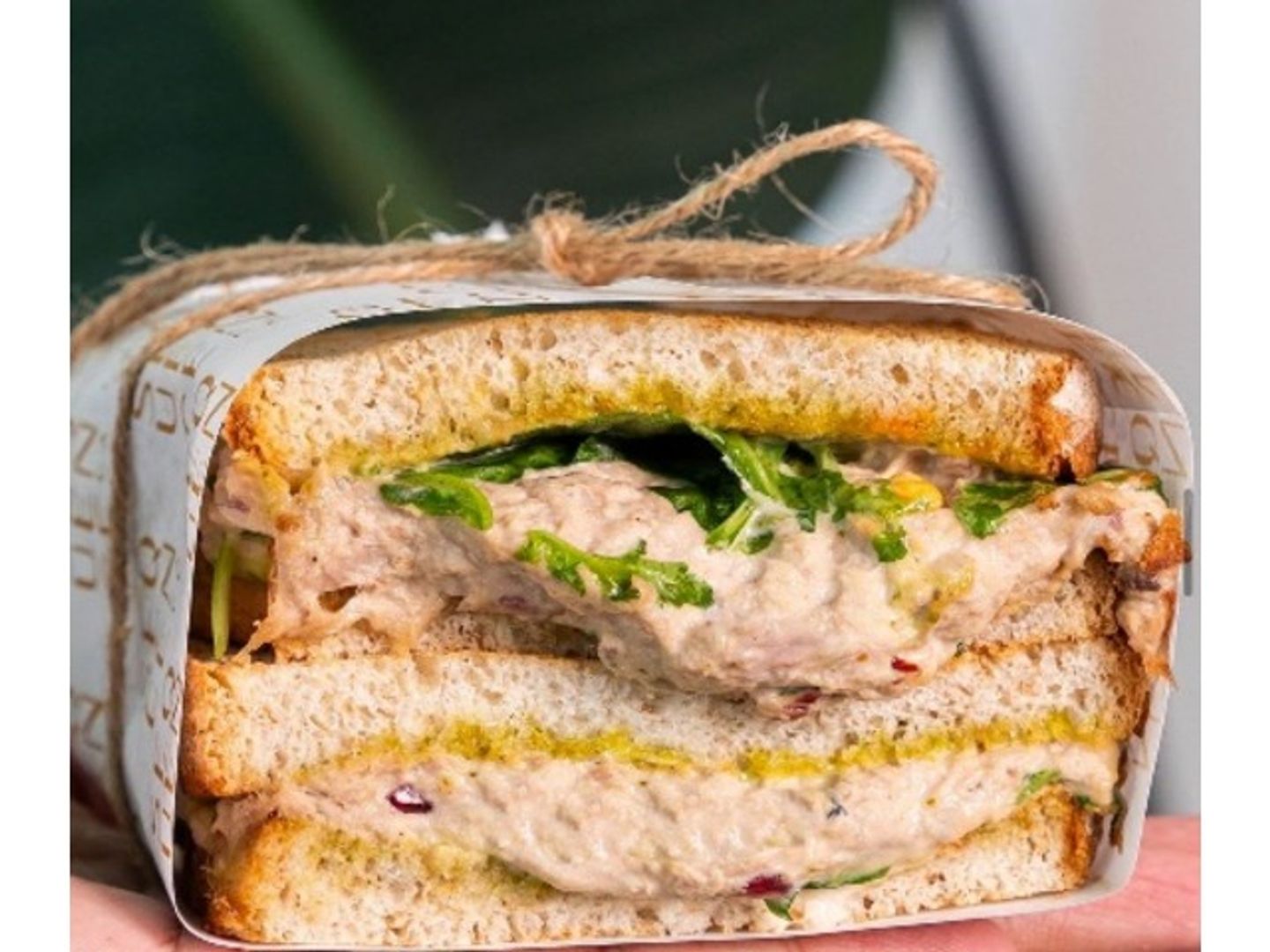 Spicy Tuna Sandwich