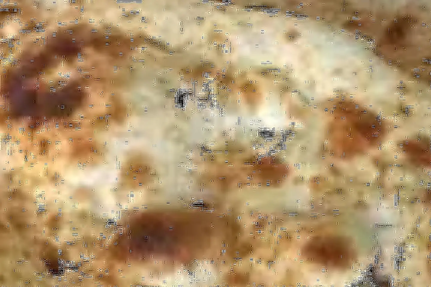 تميس جبن