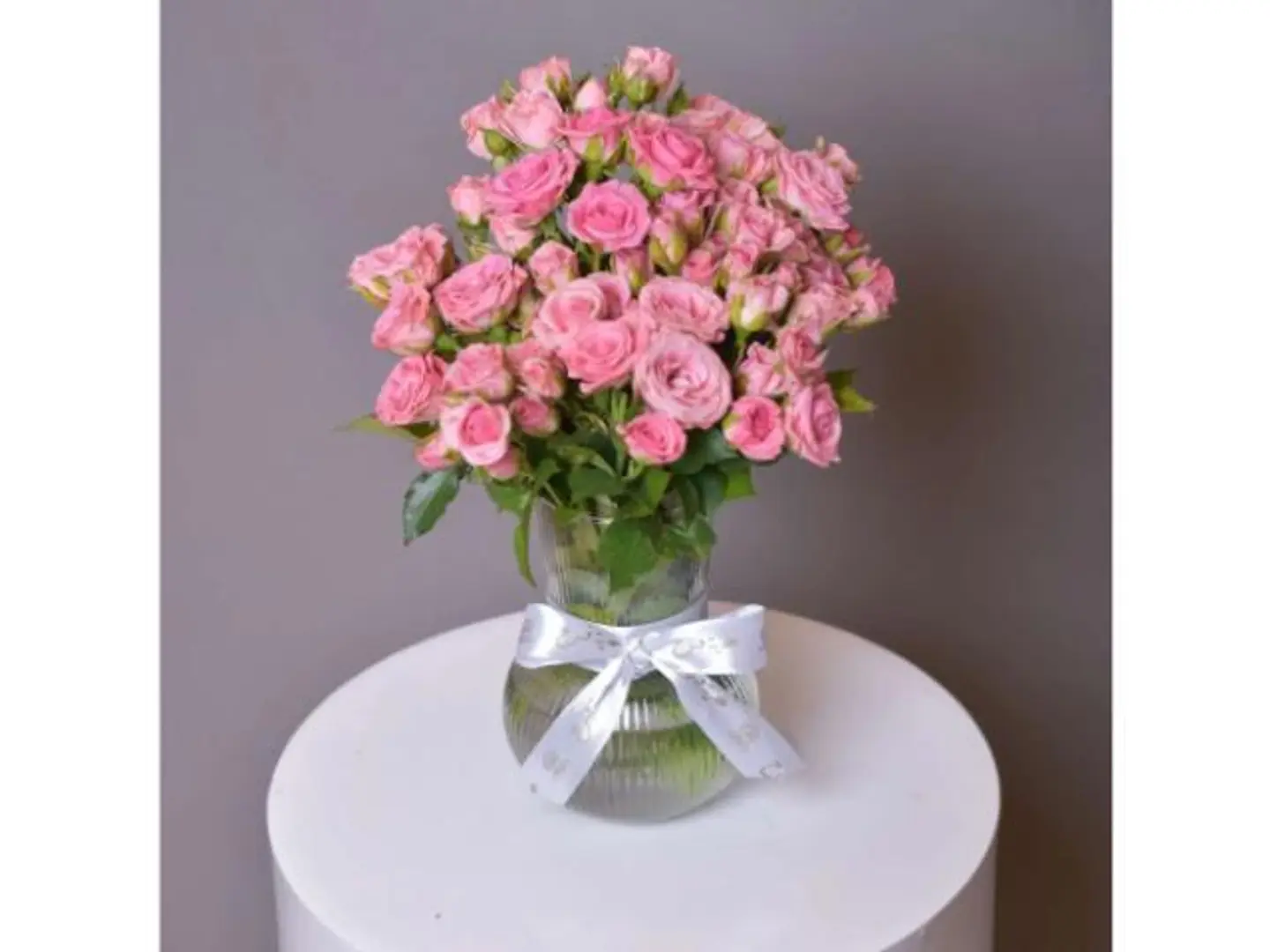 فازة البيبي روز