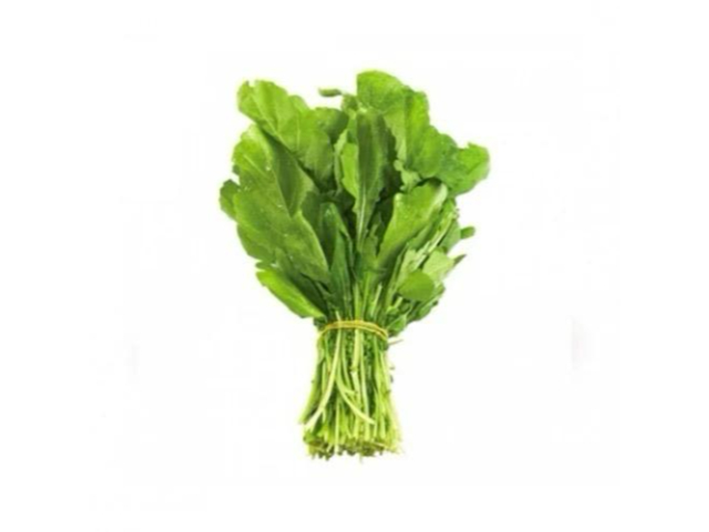 Arugula