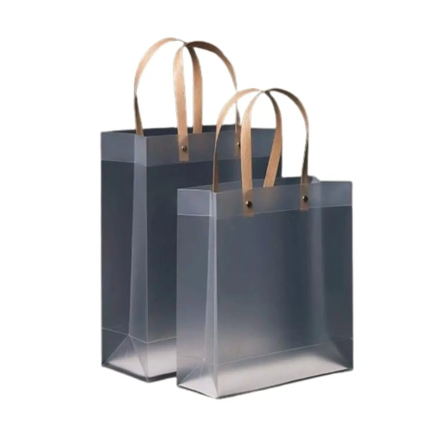 Medium Transparent Gift Bag