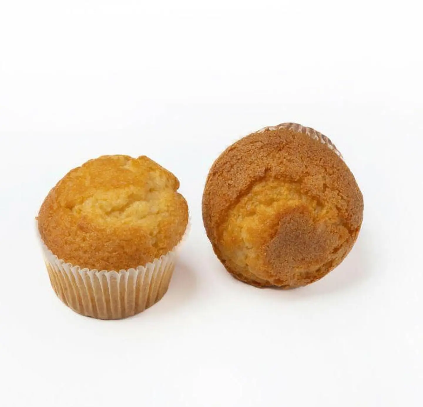 Plain Cupcake