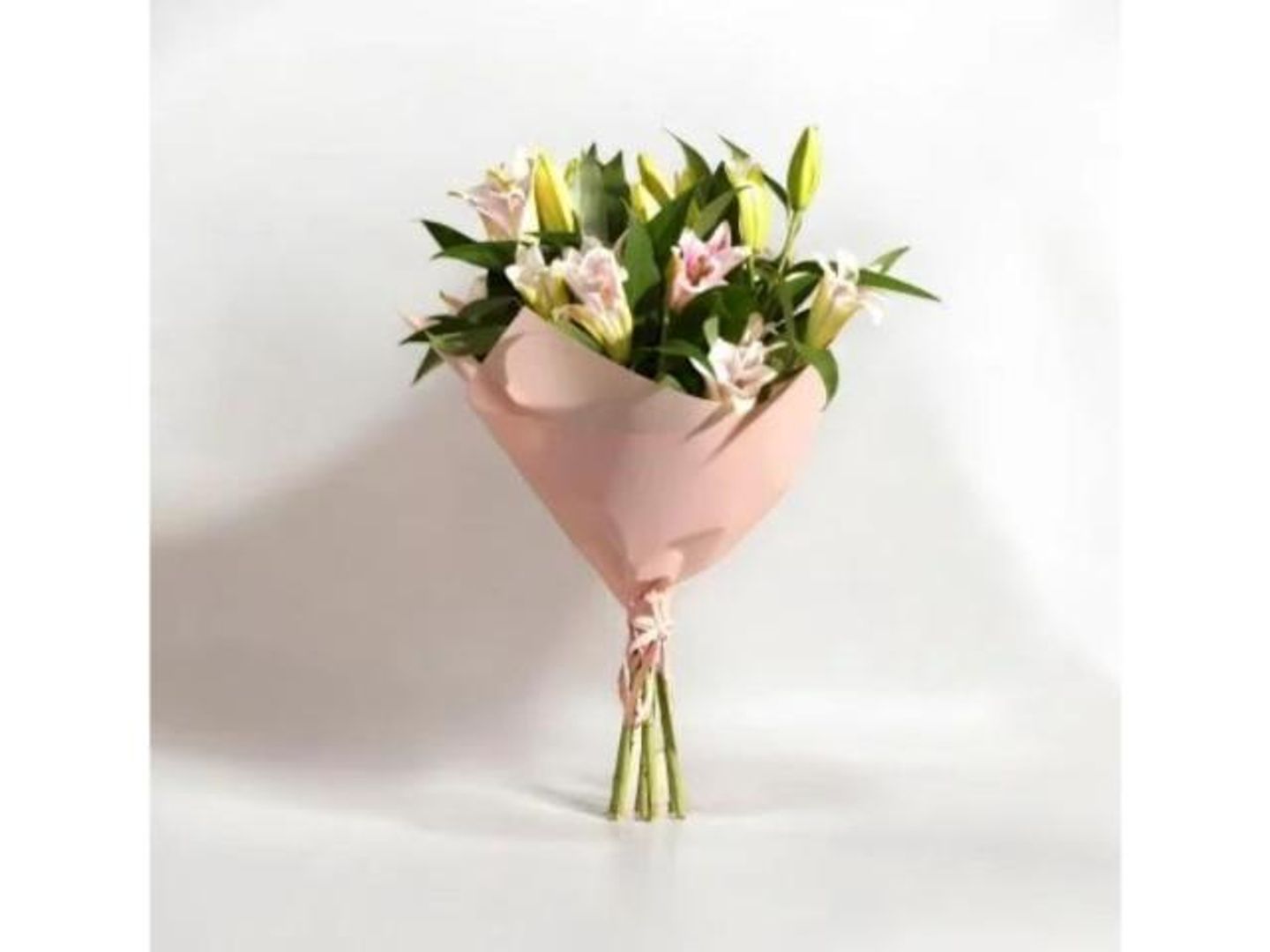 ضياء الروح