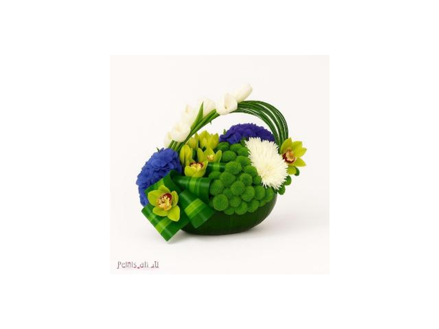 فازة الولاء