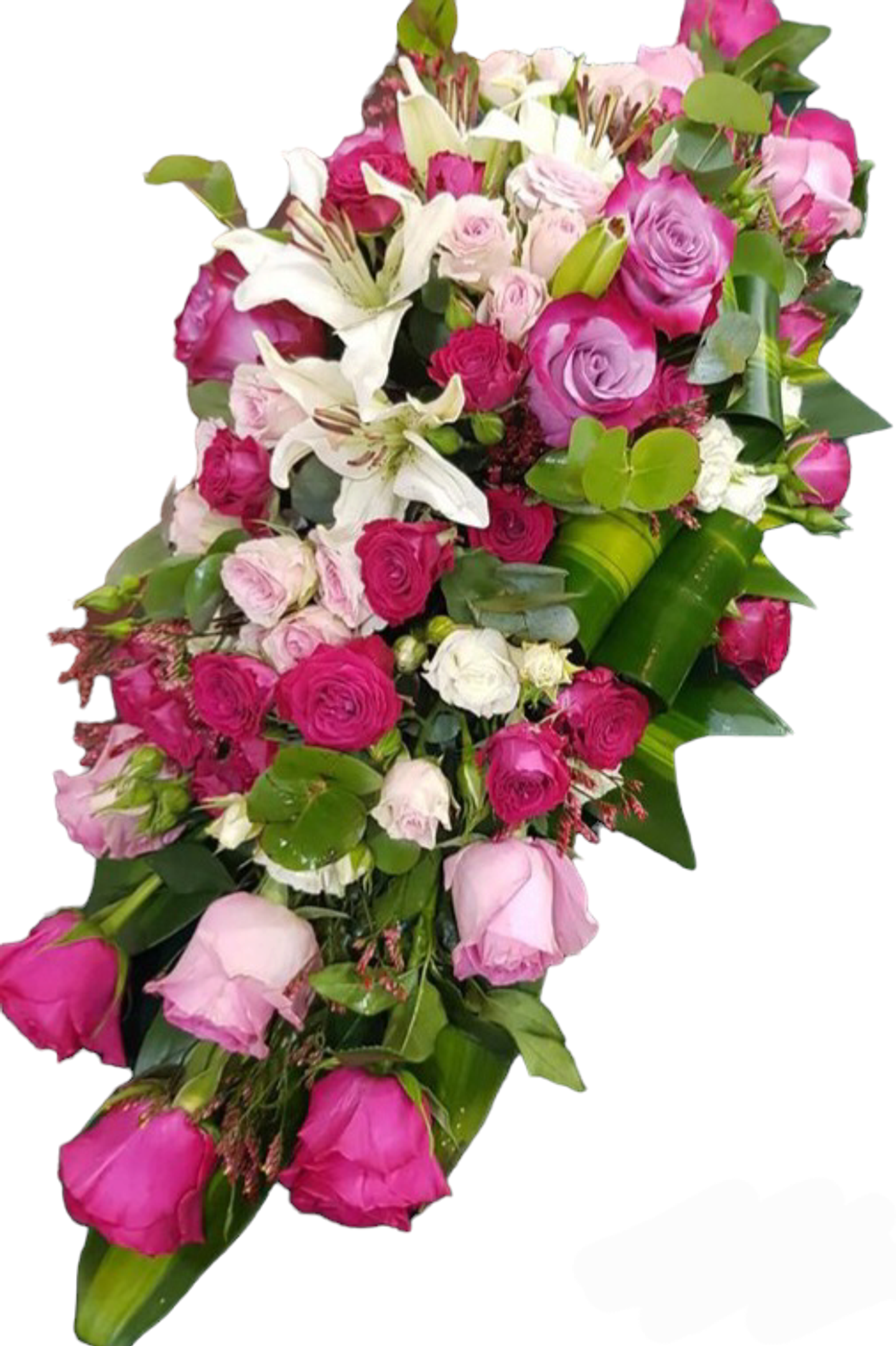 زهرة الطاولة   97