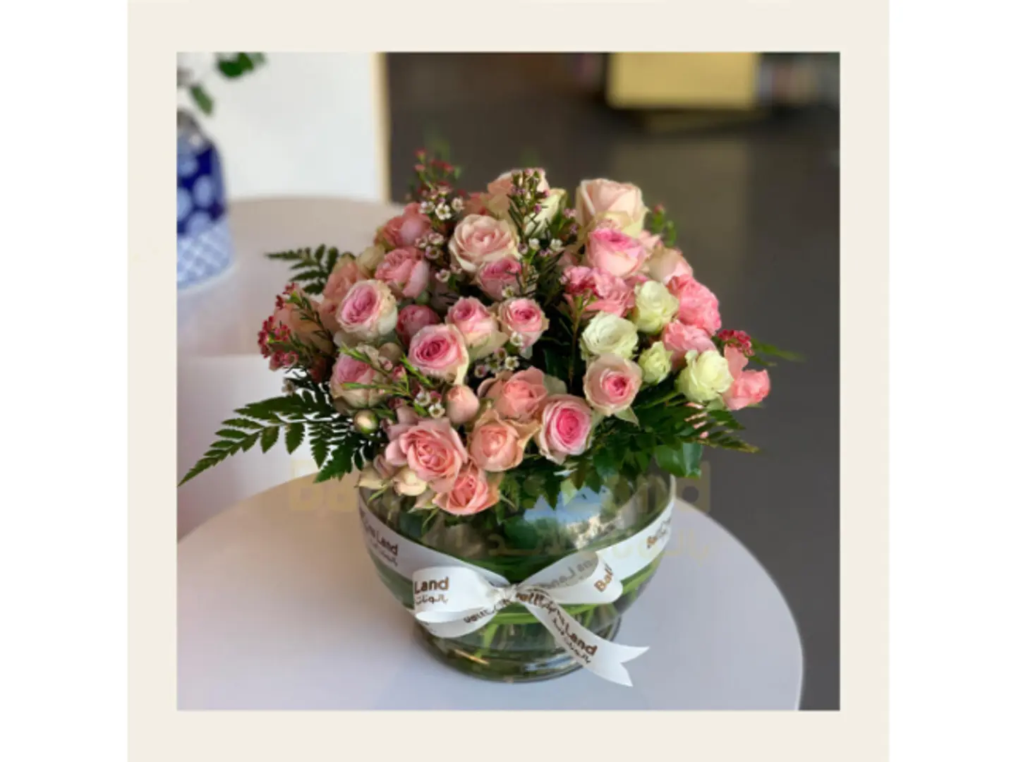 فازه ورود البيبي روز