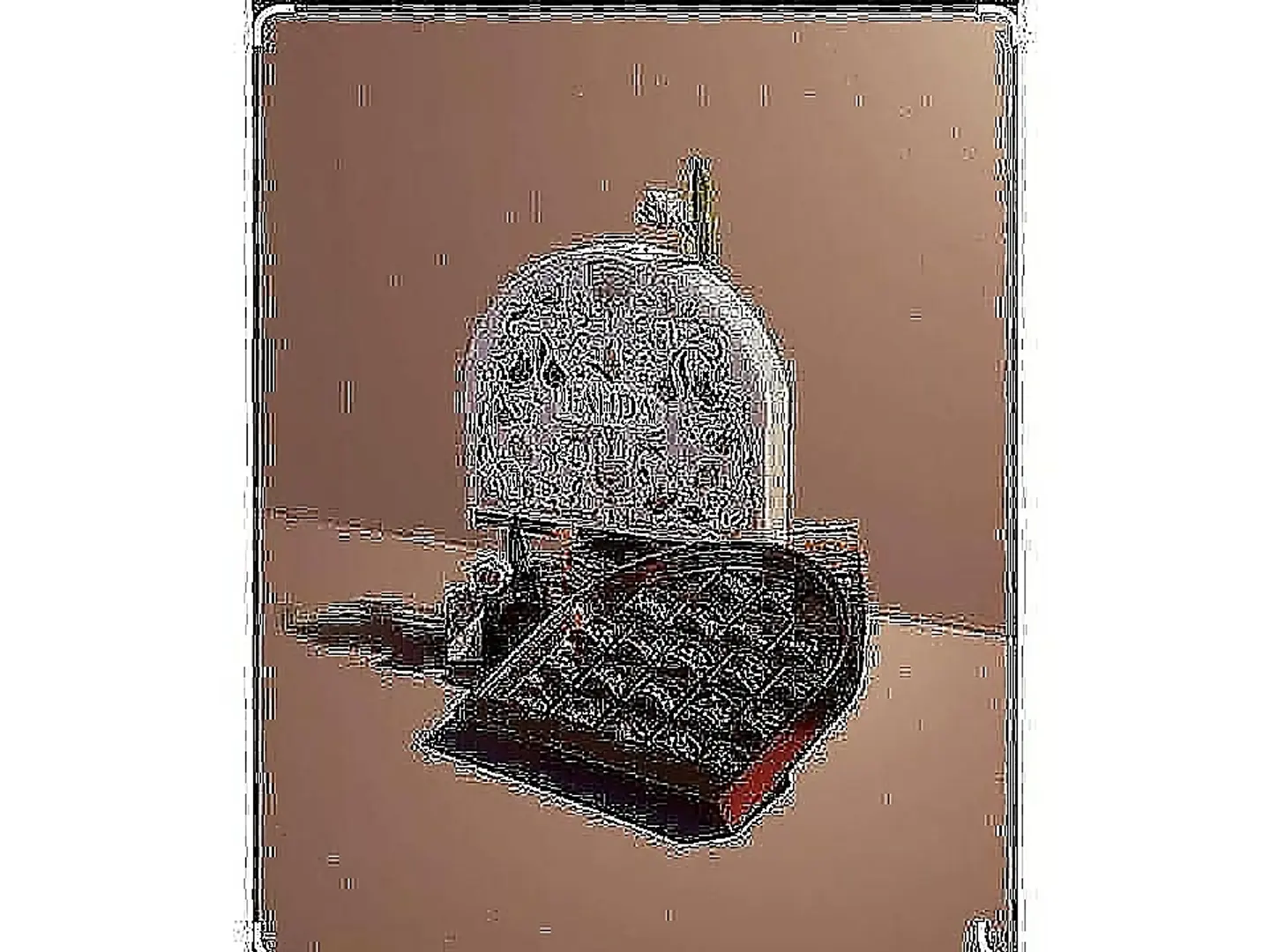 فهدة تاكو