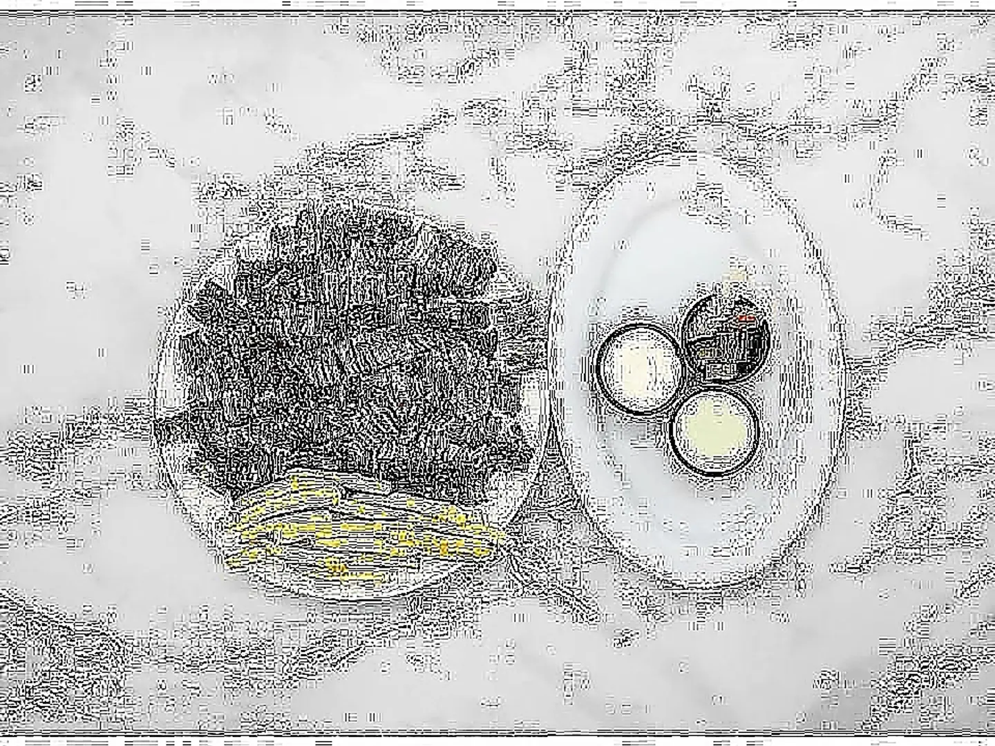 Shawarma Plate