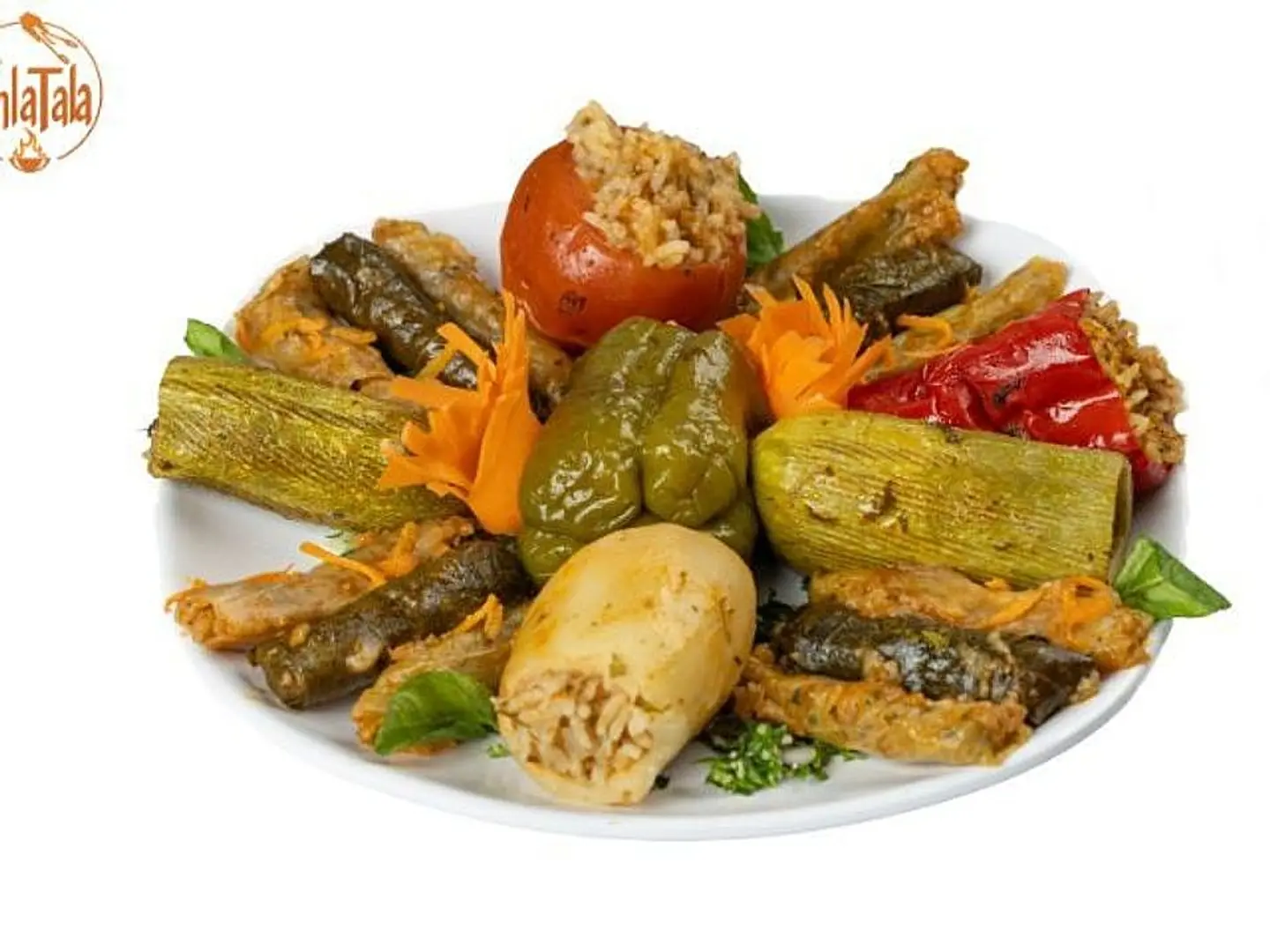 محشي مشكــــــــــل