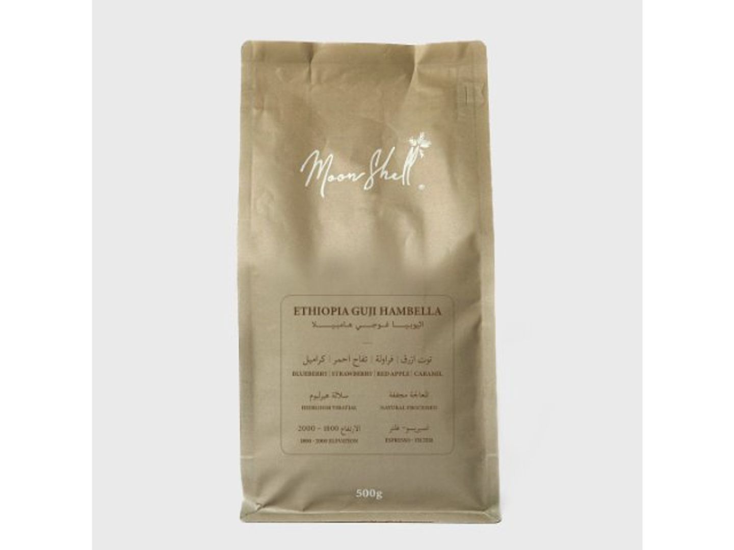 Moon Shell Ethiopia Guji Hambella