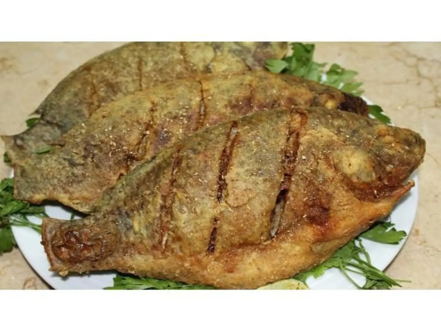 سمك بلطي مقلي