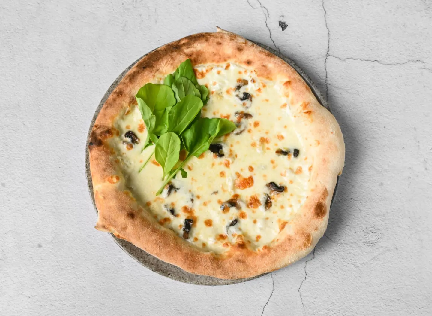 فينجي فورماجي