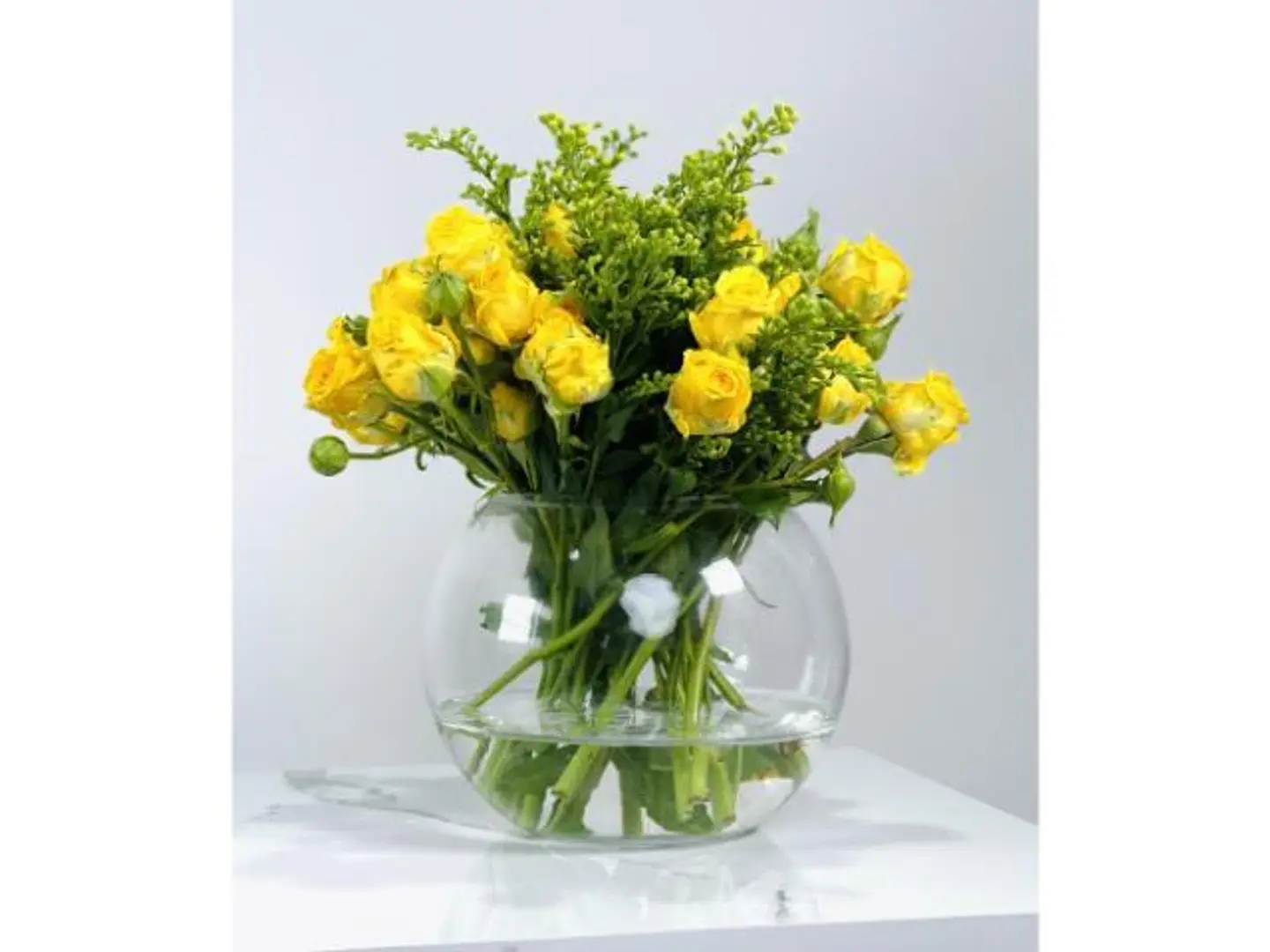 فازة رقة البيبي جوري والسليداغو