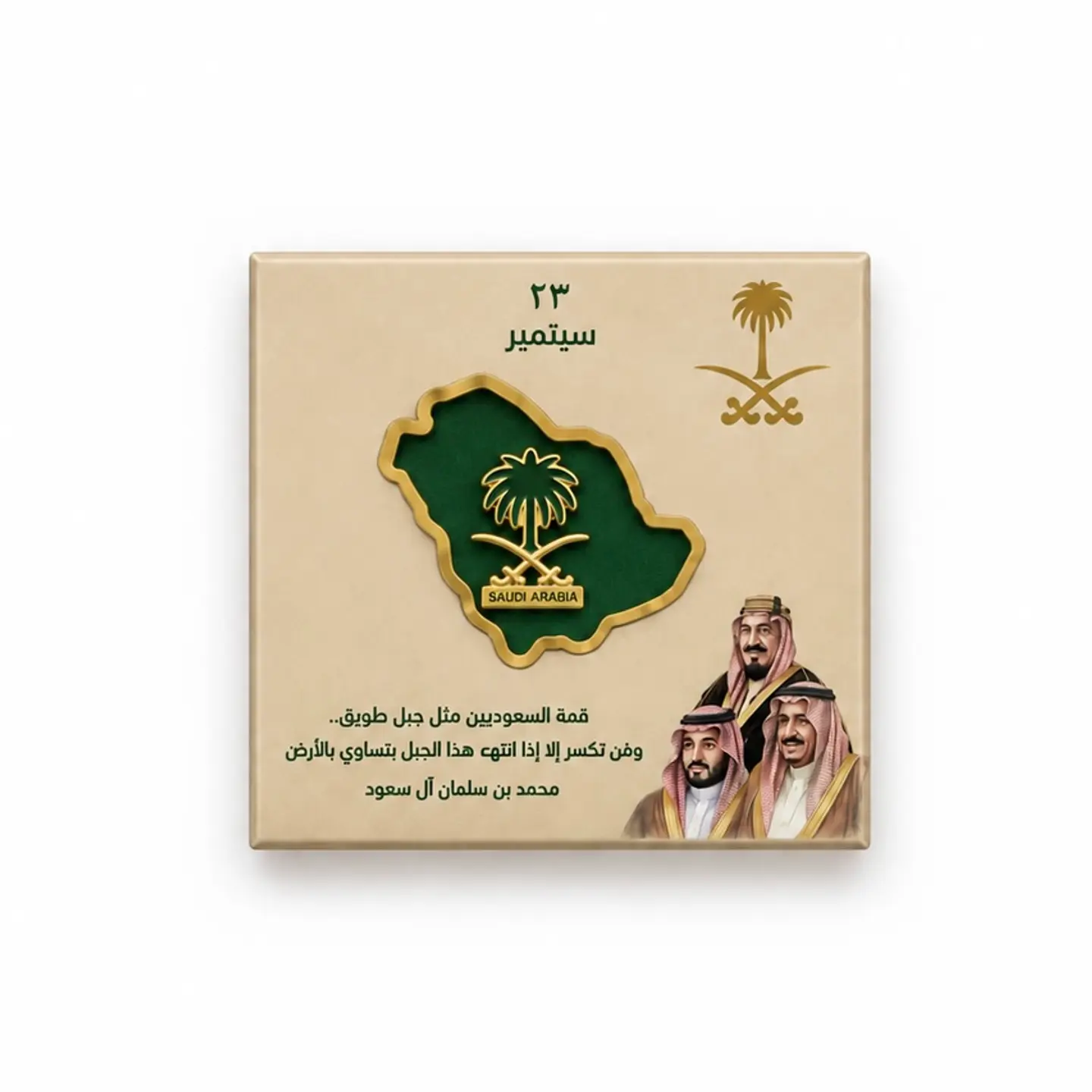 بروش اليوم الوطني بكرتون بيج