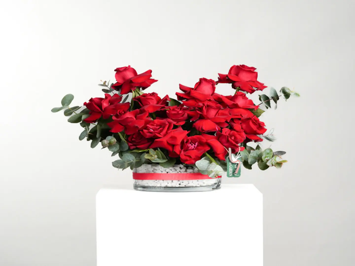 فازة وهج الحب