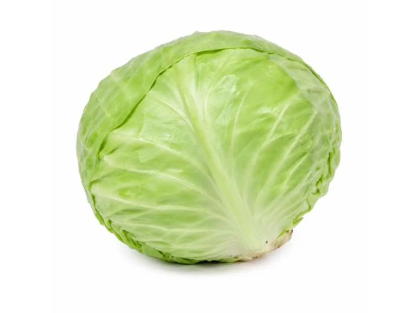 Cabbage