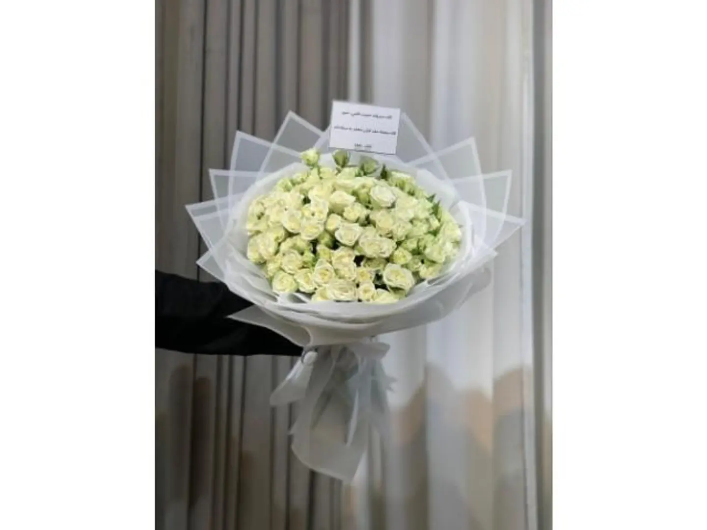 White Baby Rose