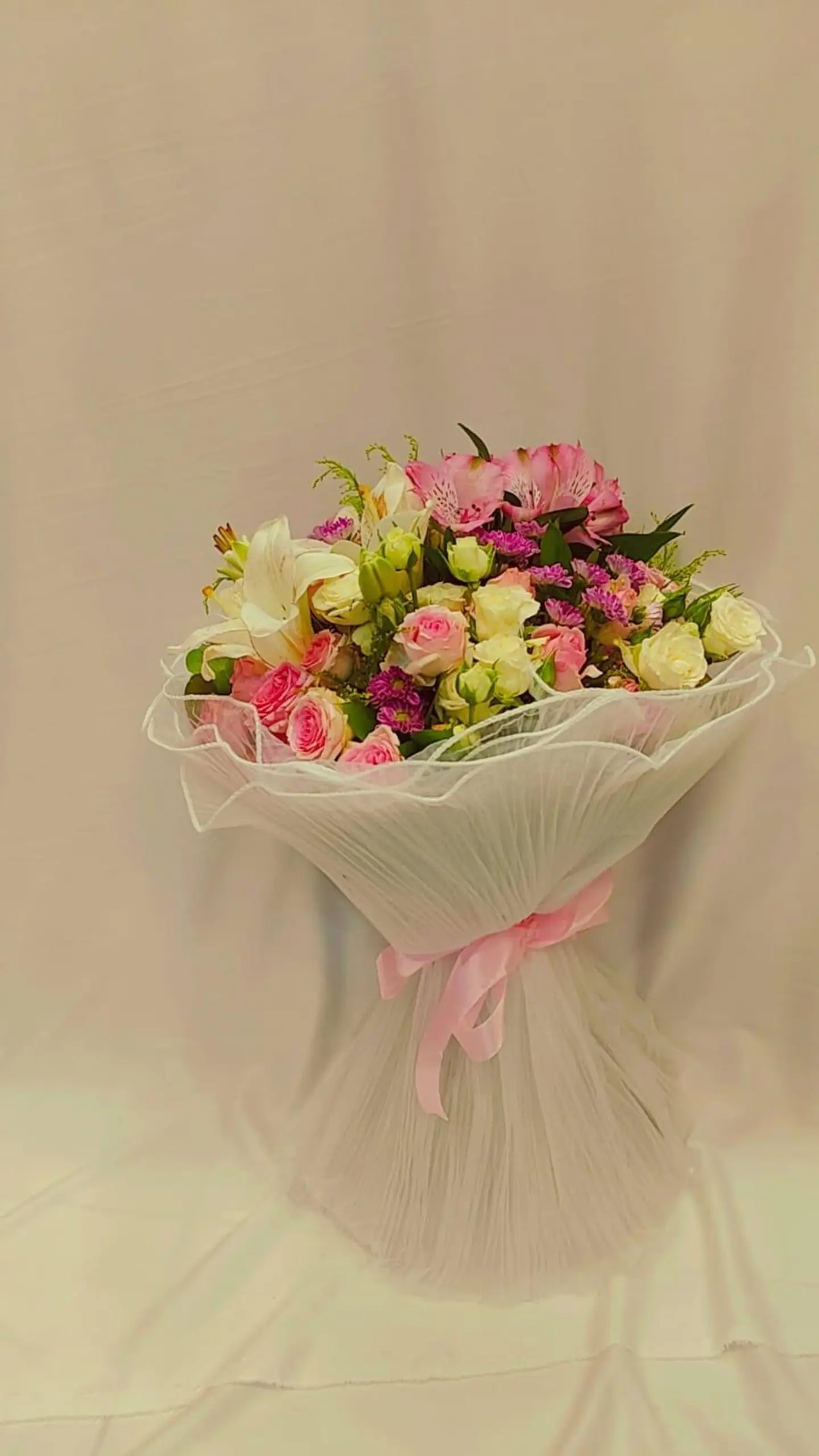 Sb Celestial Serenade 168