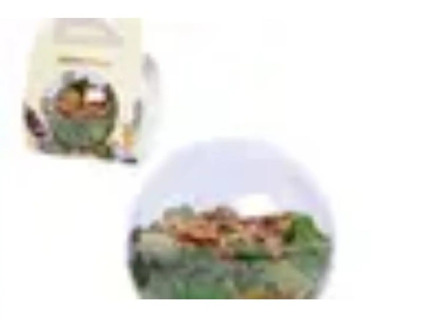 سلطة الجرجير