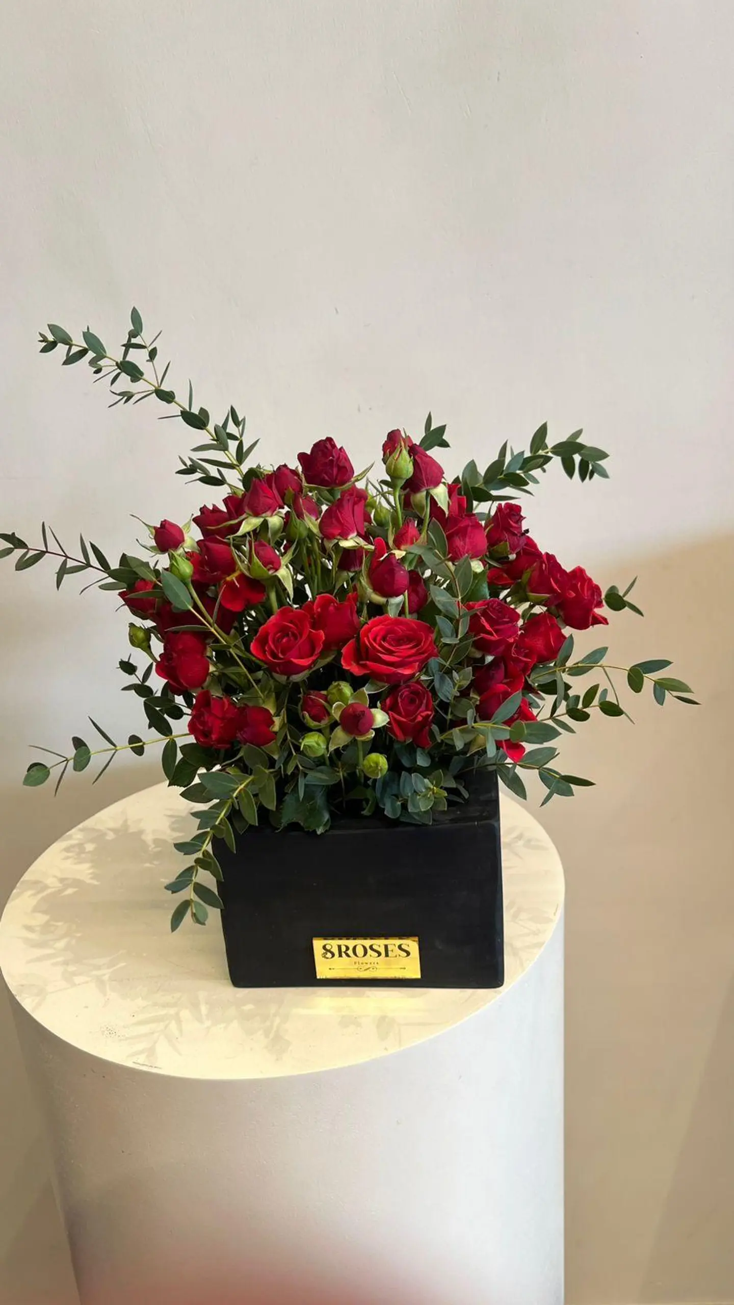 صندوق الجوري واليوكالبتوس