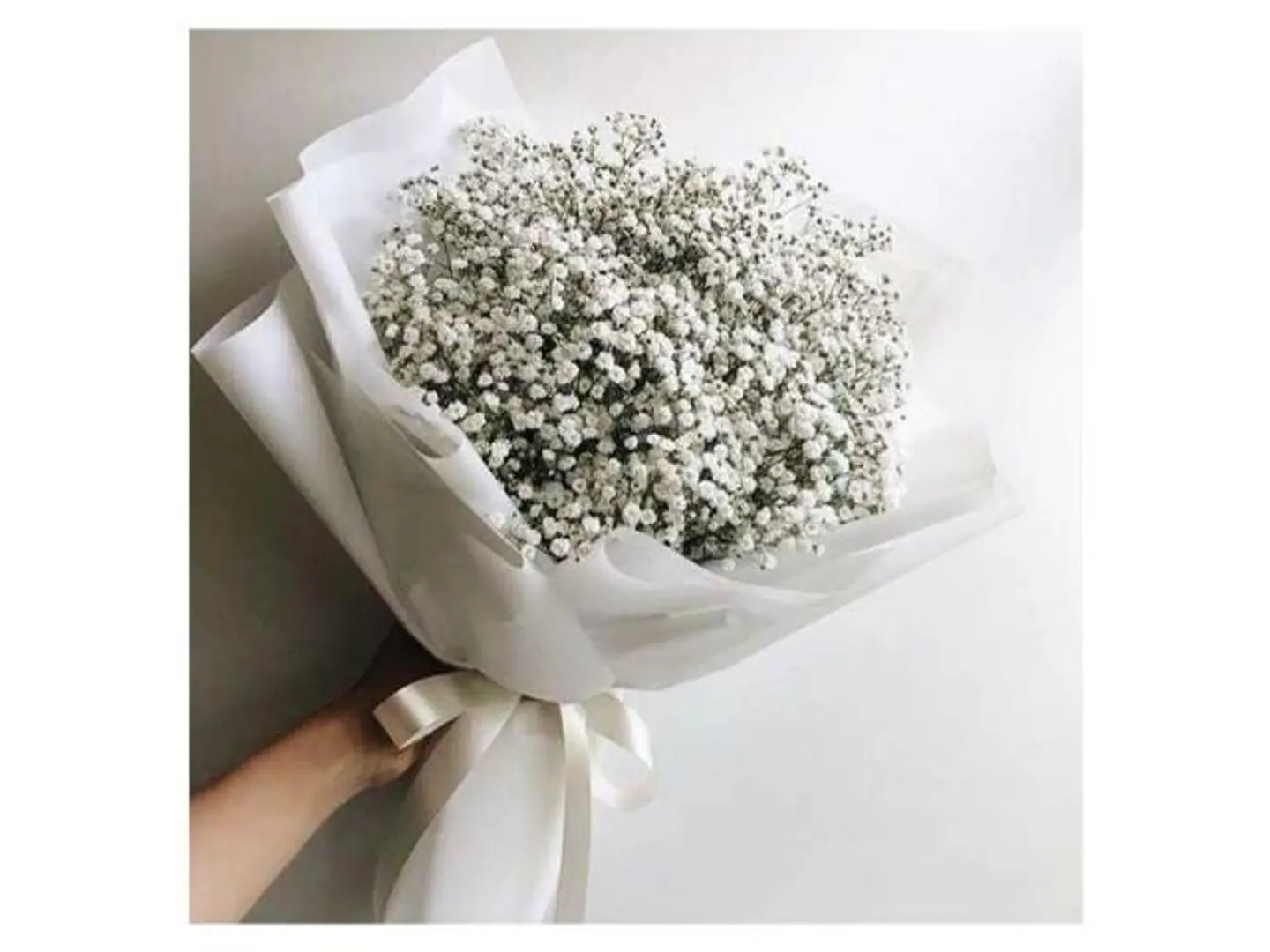 بوكية أنت كل سعادتي في الدنيا، وبدونك تصبح بدون أي مشاعر وأحاسيس