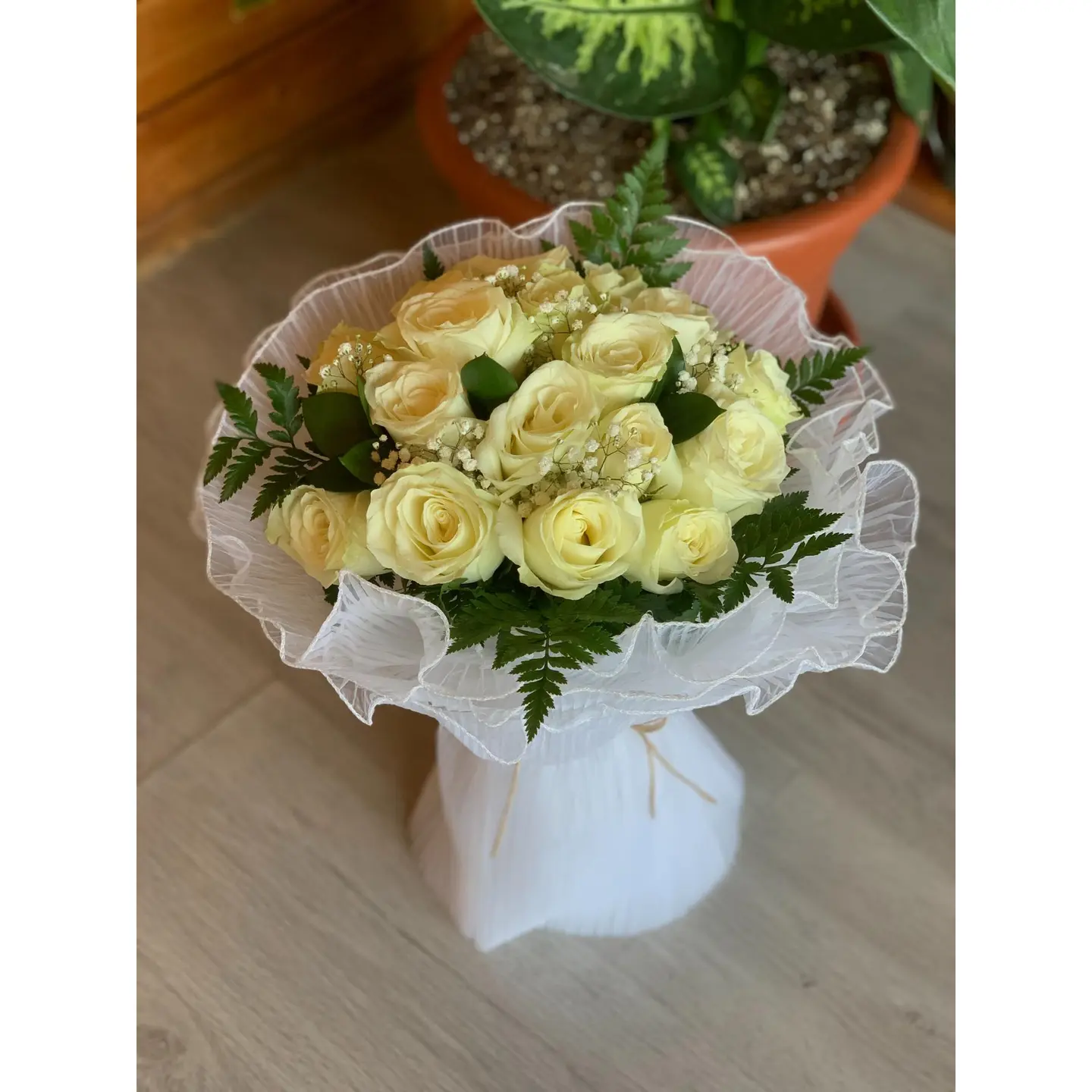باقة  كورنيش ابيض