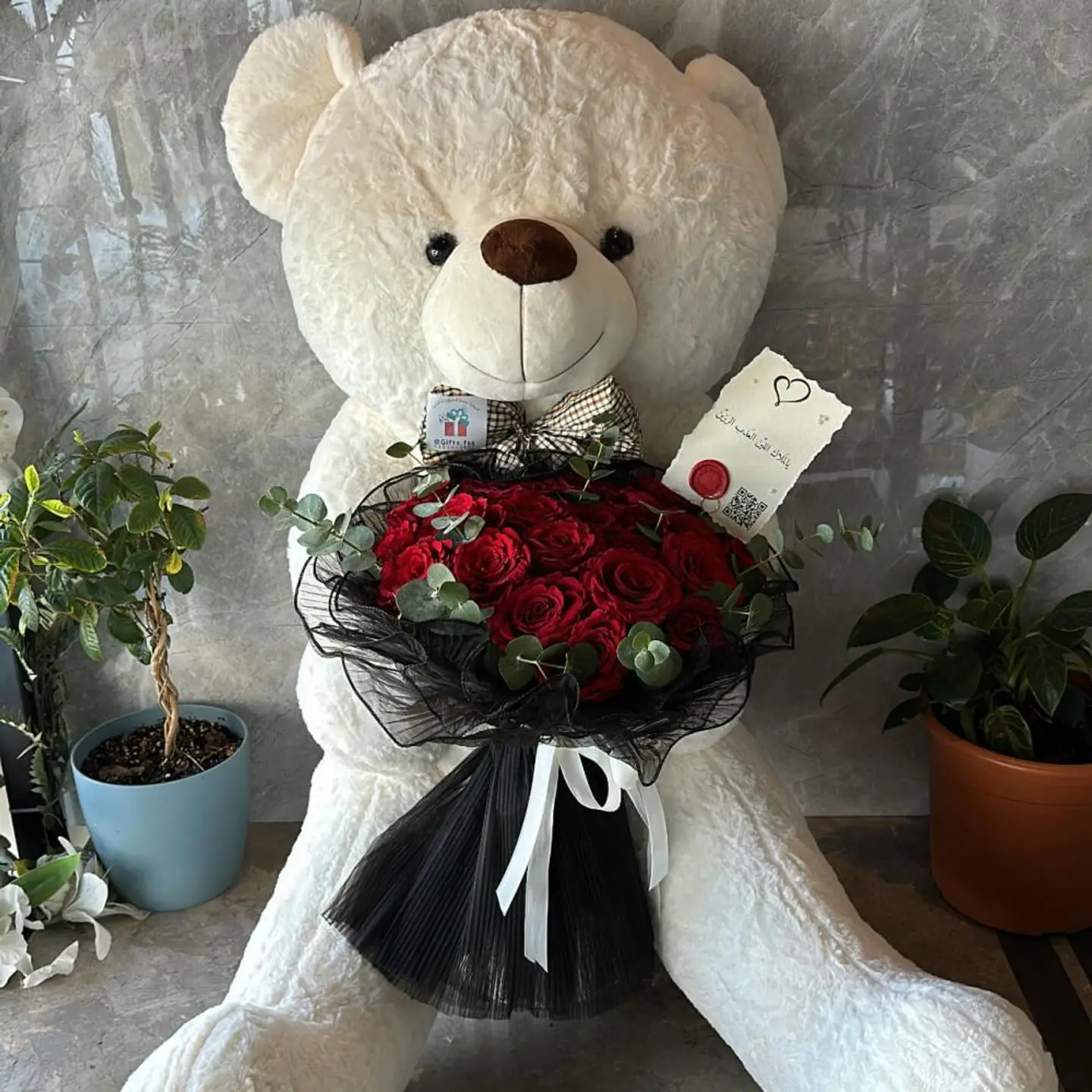 Teddy Bear I Keep You Because You Are My Most Precious Possession