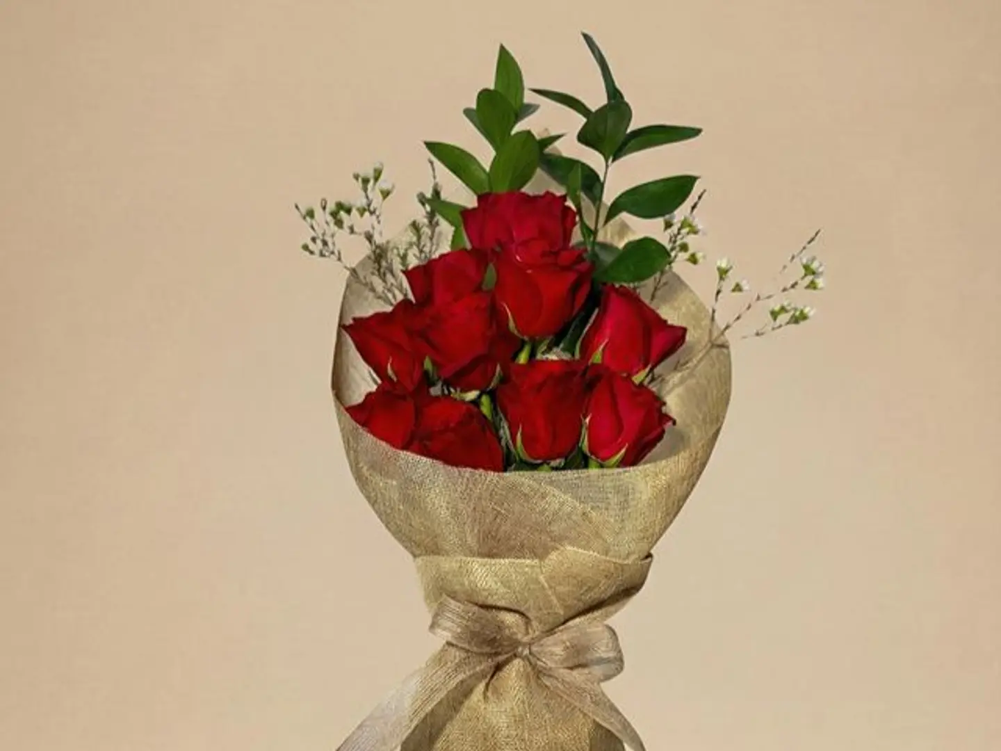 Red Elegance
