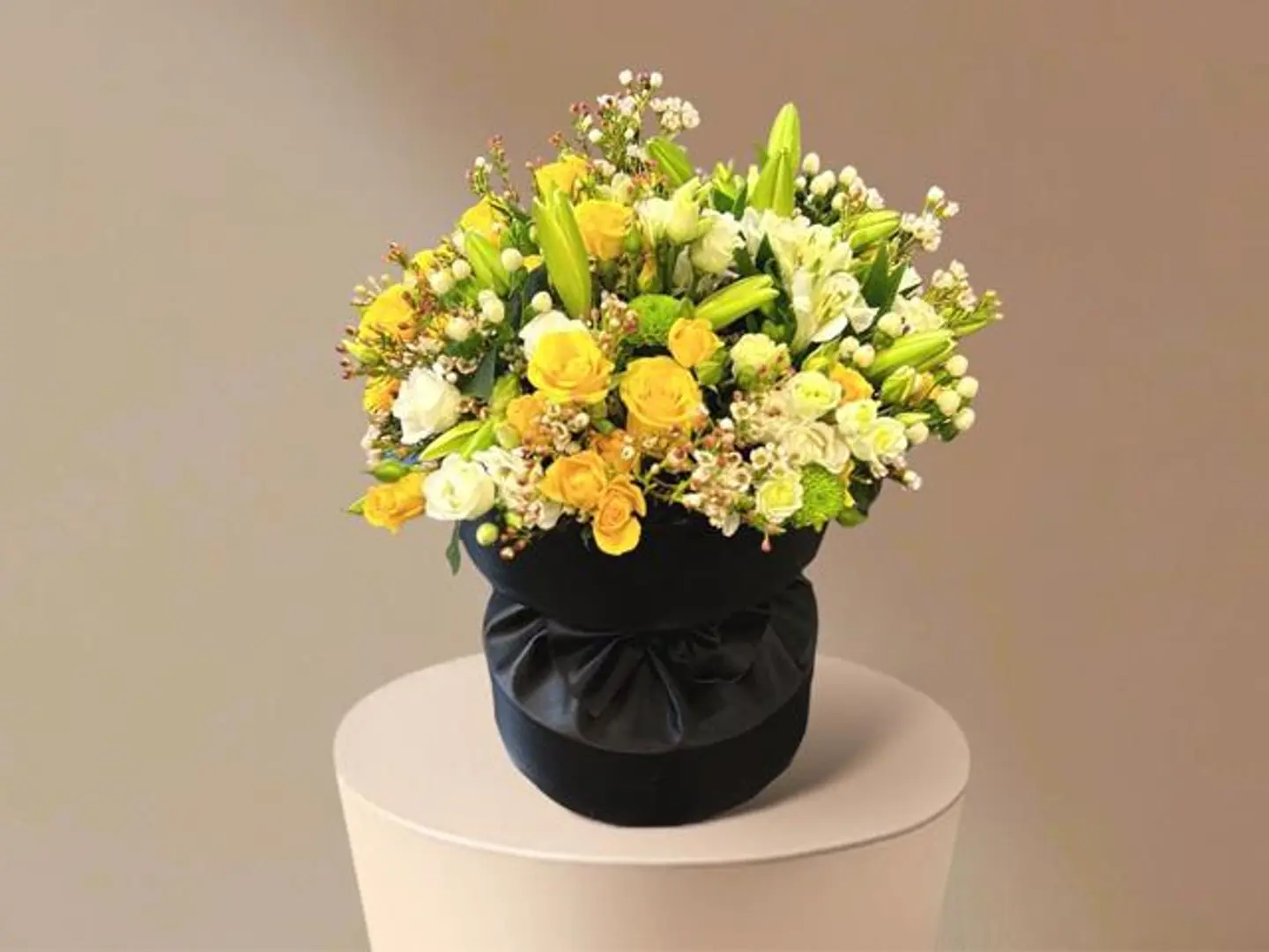 قاعده جلد انيقه