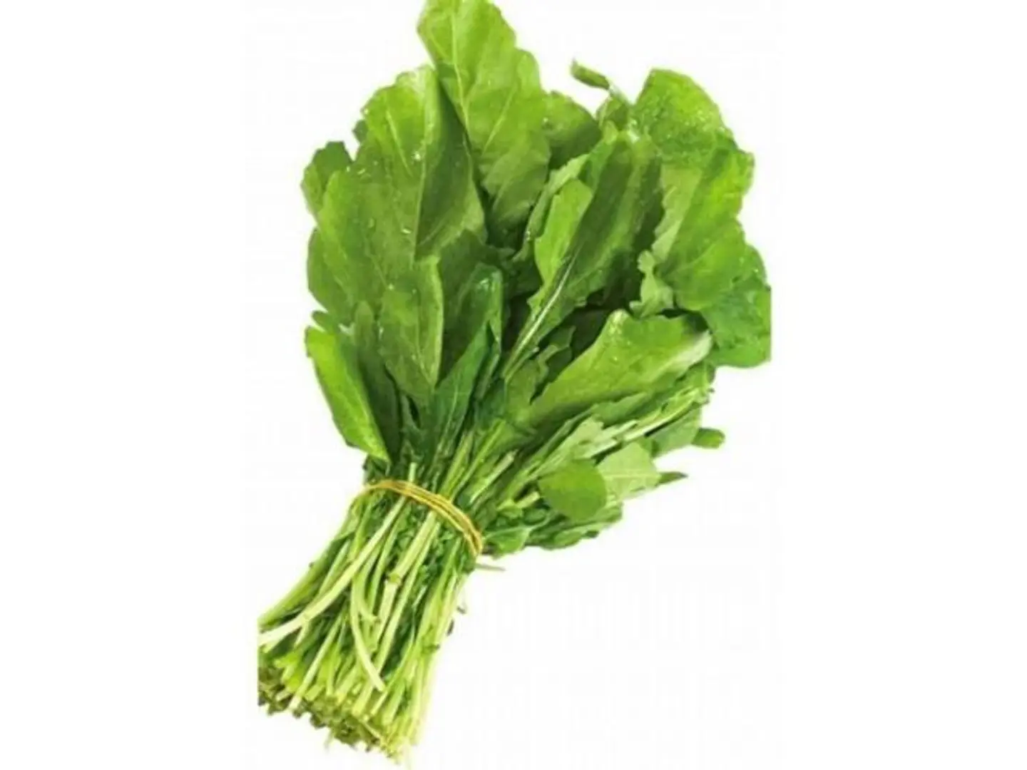 Bundle Of Arugula