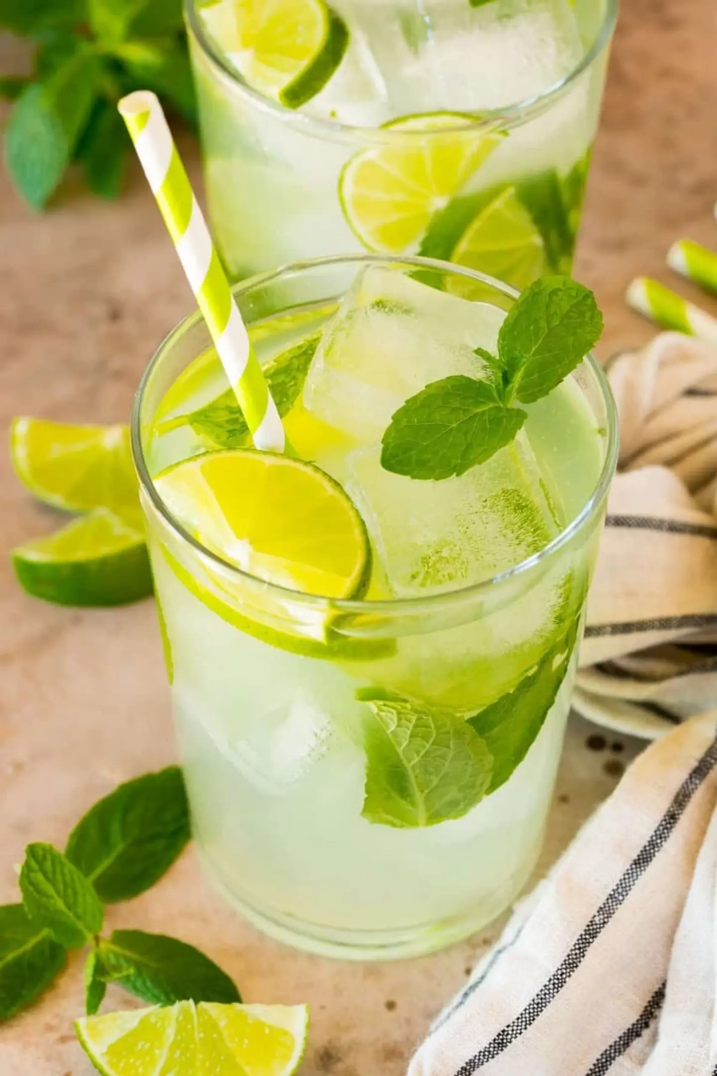 Mint Mojito