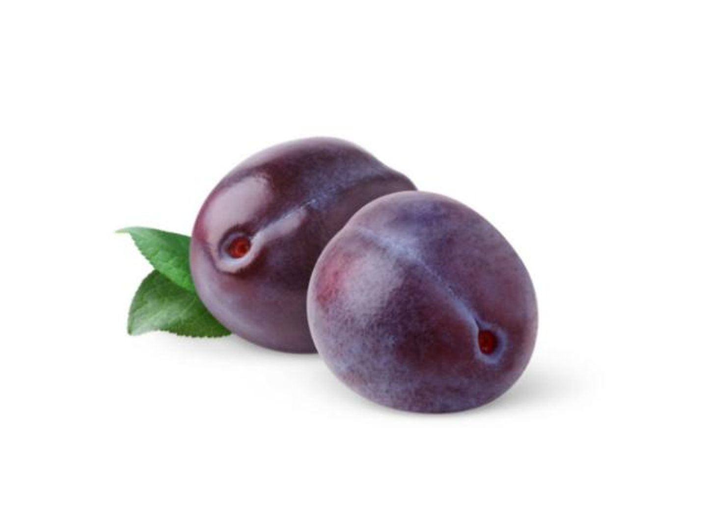 بخارة