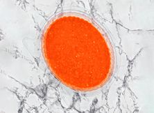 سلطة سومطرة