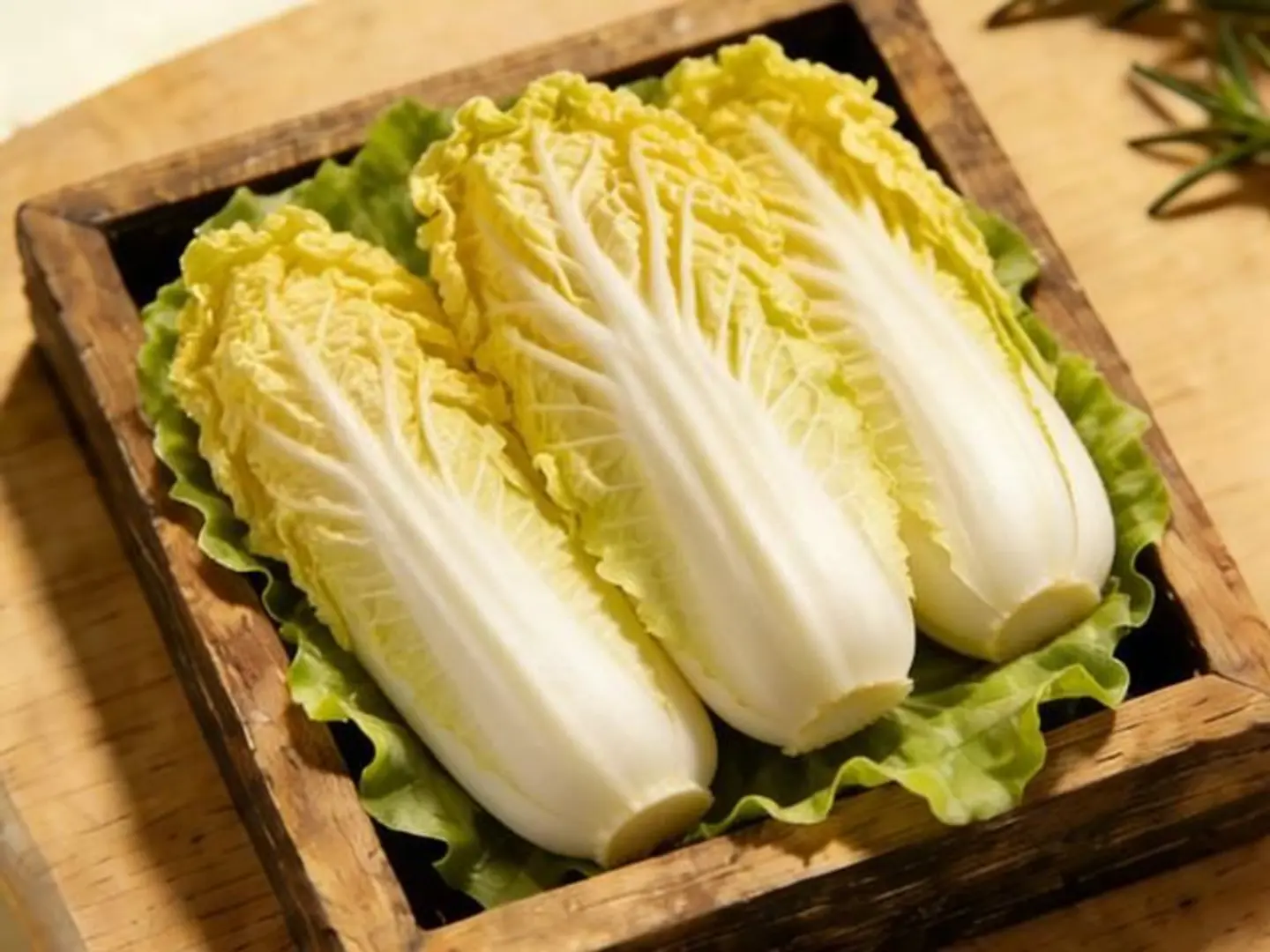 Napa Cabbage