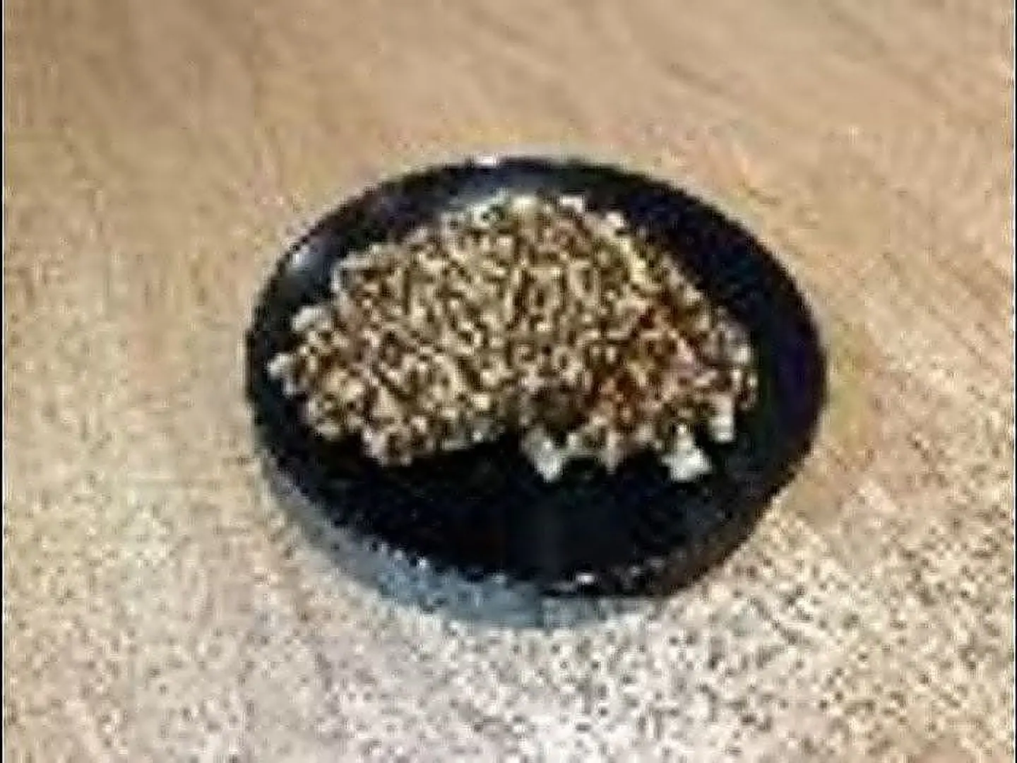 وافل شكولاته + ( مشروب ساخن شاي تلقيمة او كرك)