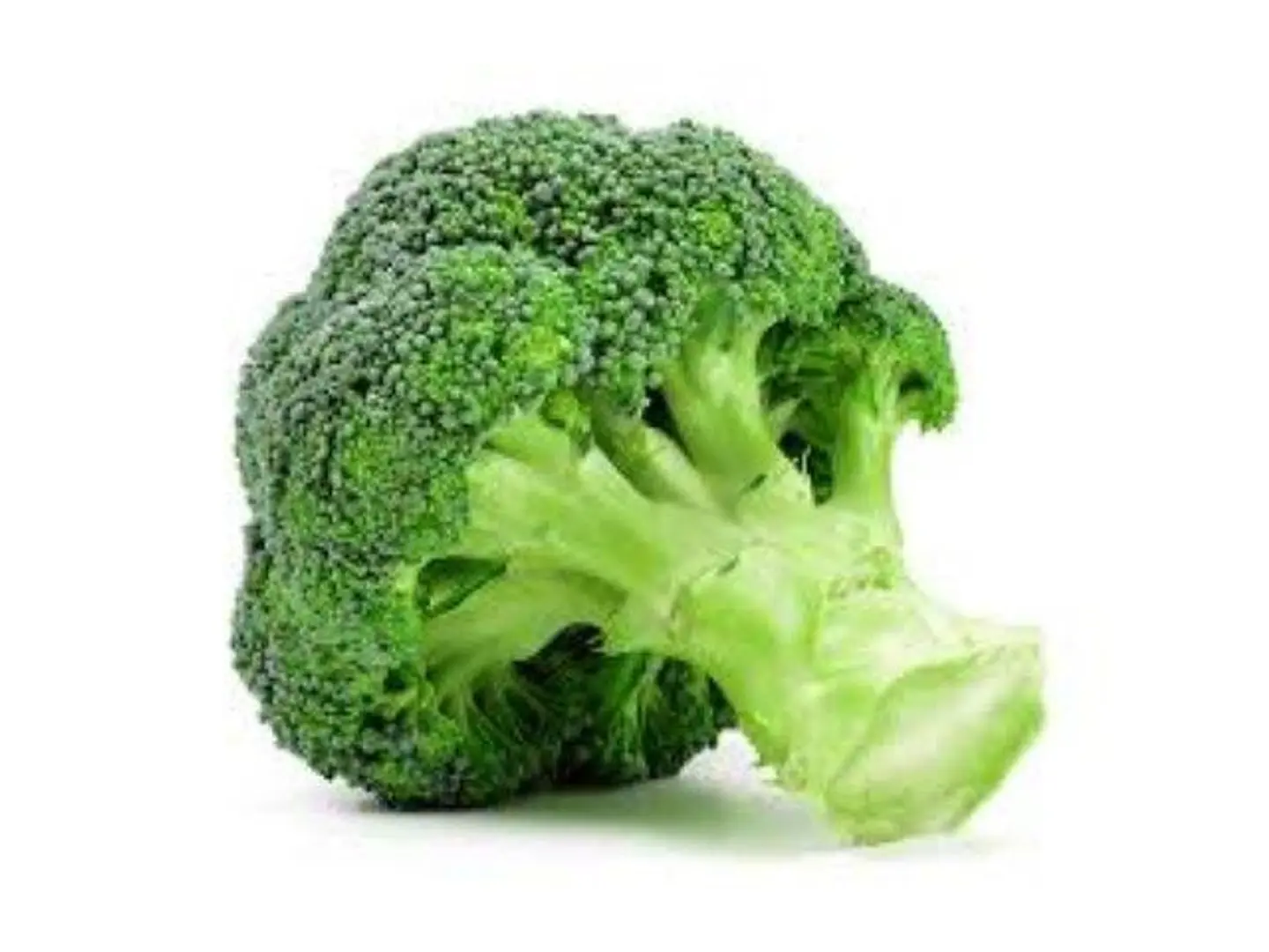 بركلي مستورد